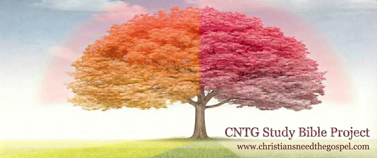 Christians Need The Gospel